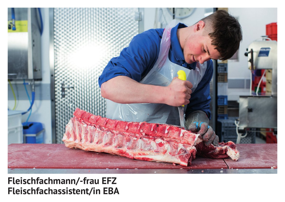 Fleisch­fach­mann / Fleisch­fach­frau EFZ, Fleisch­fach­assistent / Fleisch­fach­assistentin EBA