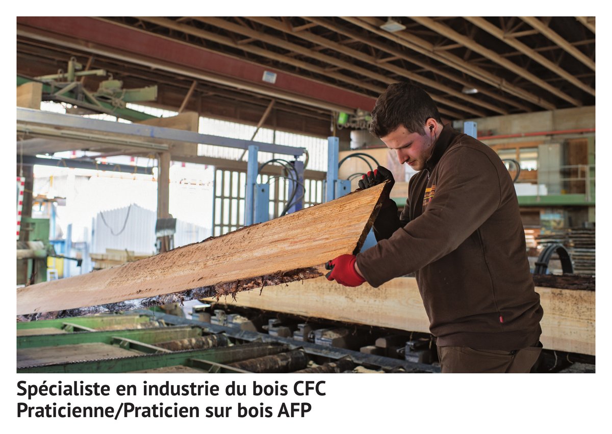 Spé­cia­liste en in­dus­trie du bois CFC, pra­ti­cien­ne/pra­ti­cien sur bois AFP