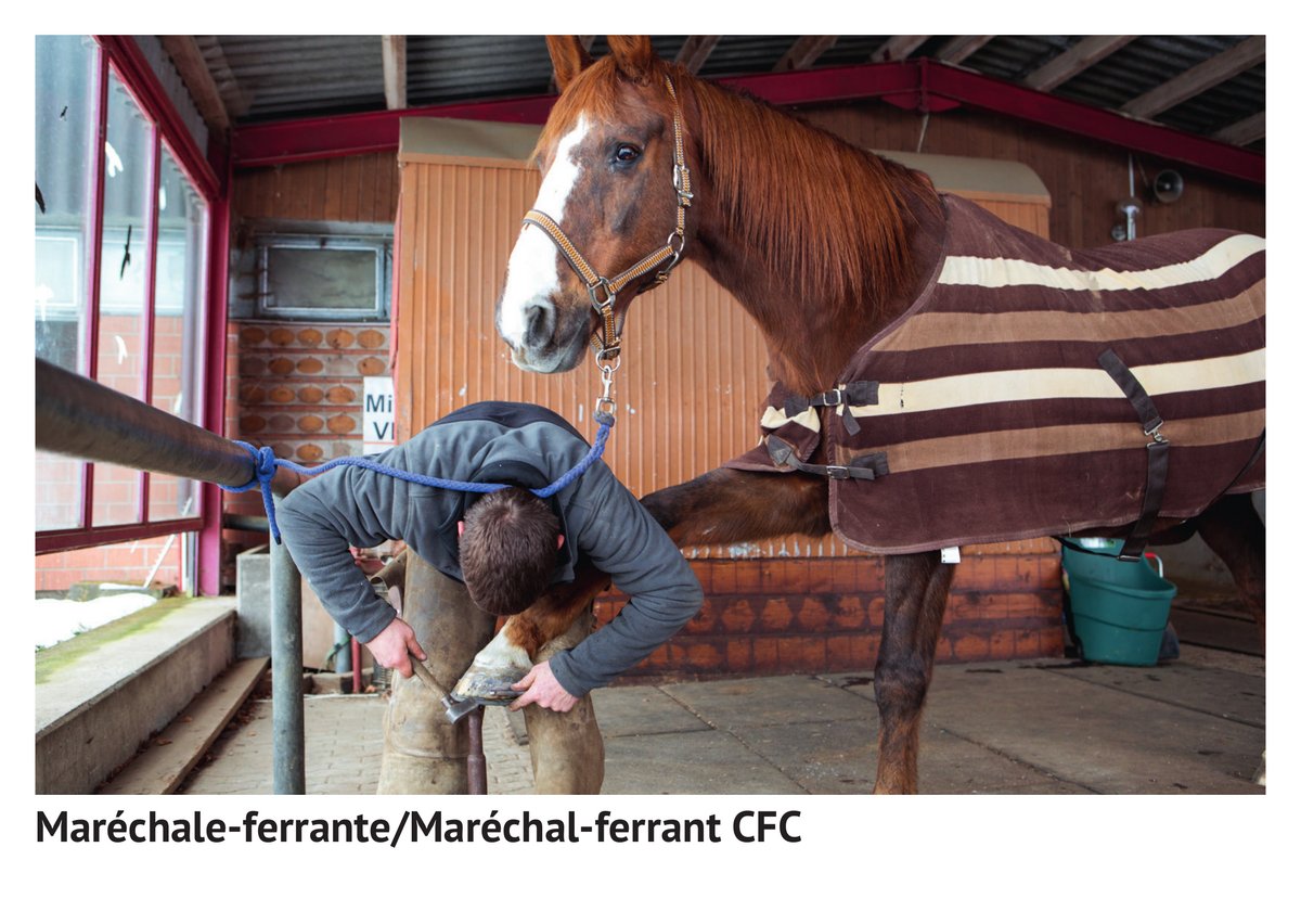 Maréchale-ferrante/maréchal-ferrant CFC