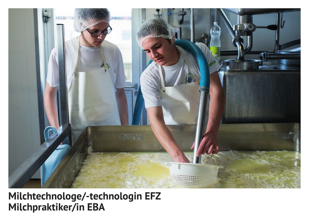 Milch­tech­no­lo­ge / Milch­tech­no­lo­gin EFZ, Milch­prak­tiker / Milch­prak­tikerin EBA