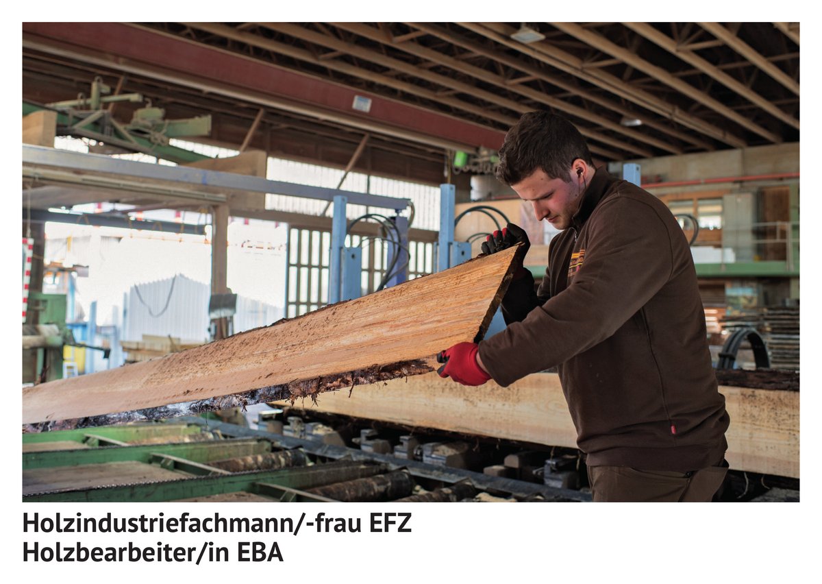 Holz­in­du­strie­fach­mann / Holz­in­du­strie­fach­frau EFZ, Holz­be­ar­bei­ter / Holz­be­ar­bei­terin EBA