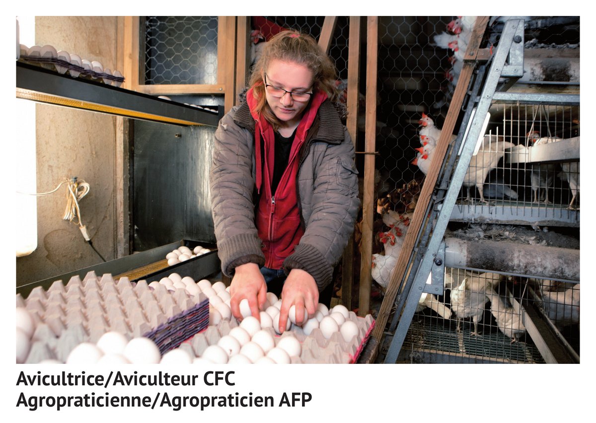 Avi­cul­tri­ce/avi­cul­teur CFC, agro­pra­ti­cienne/agro­pra­ti­cien AFP