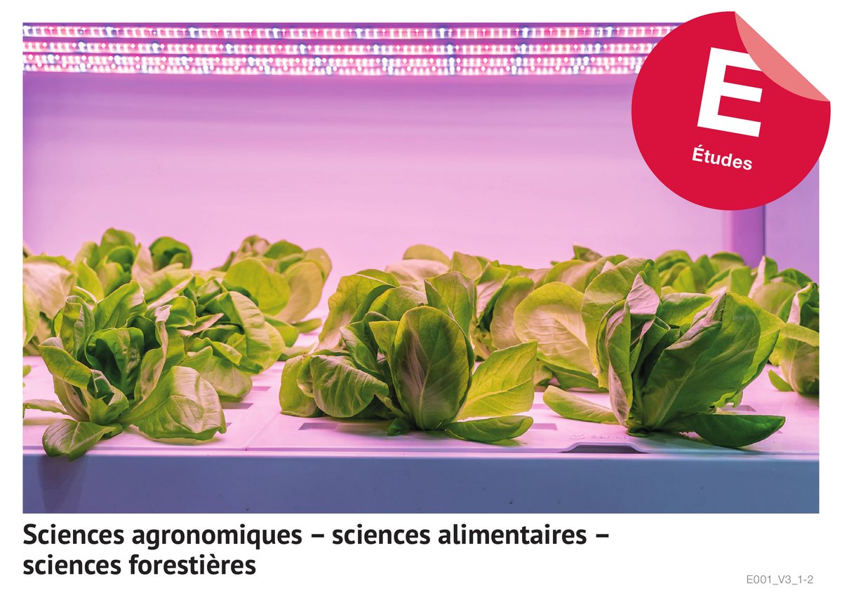 Sciences agronomiques - sciences alimentaires - sciences forestières (Études)