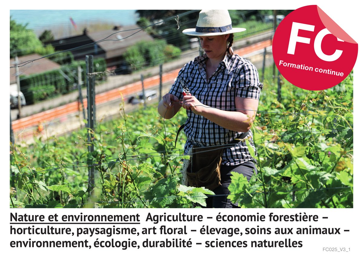 Nature et environnement : Agriculture - économie forestière - horticulture, paysagisme, art floral - élevage, soins aux animaux - environnement, écologie, durabilité - sciences naturelles (For­ma­tion con­ti­nue)