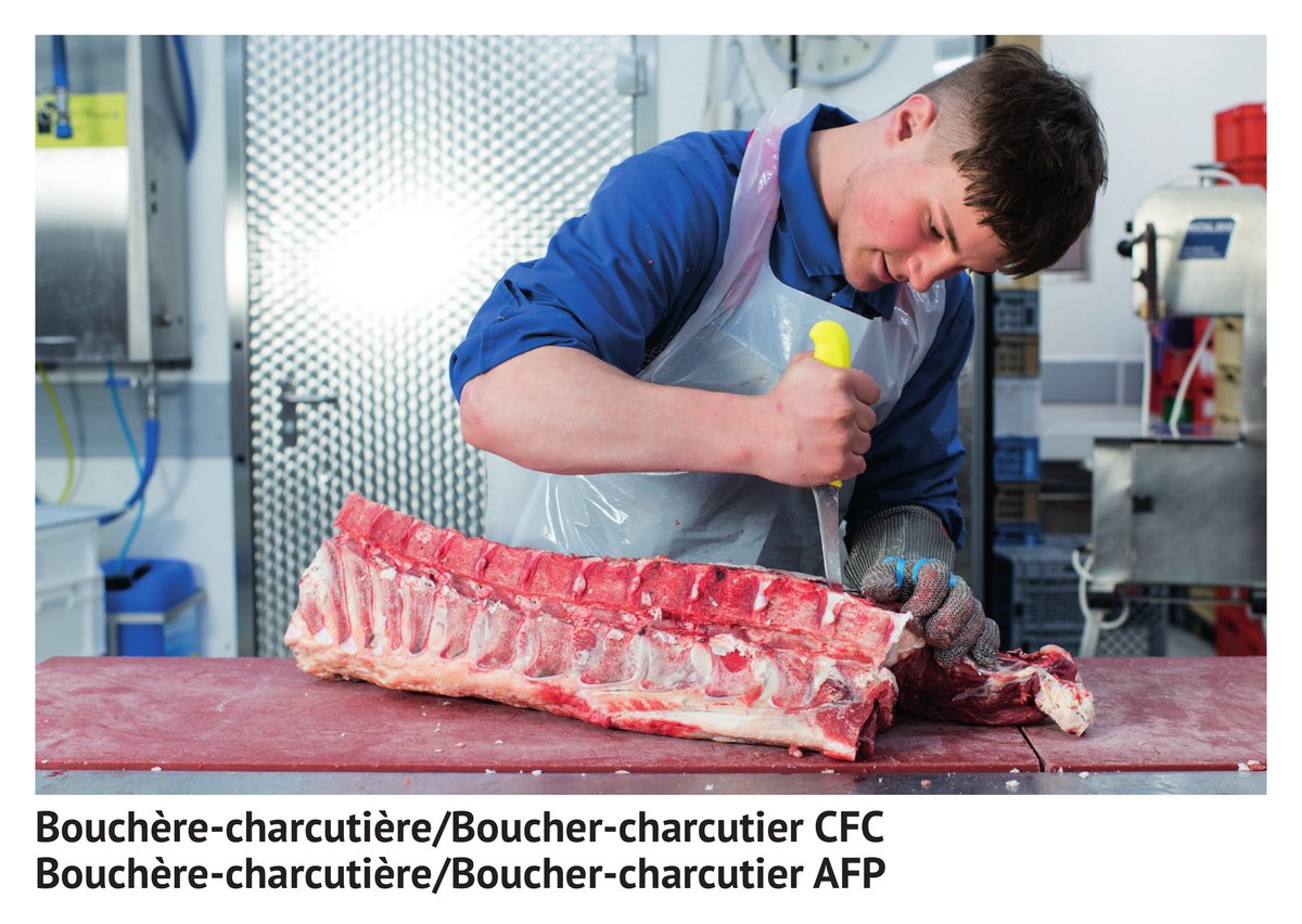 Bouchère-charcutière/boucher-charcutier CFC, bouchère-charcutière/boucher-charcutier AFP