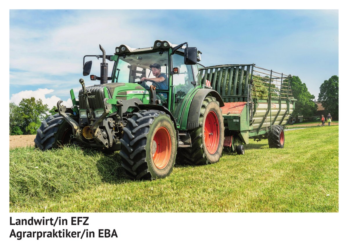 Landwirt / Land­wirtin EFZ, Agrar­praktiker / Agrar­praktikerin EBA